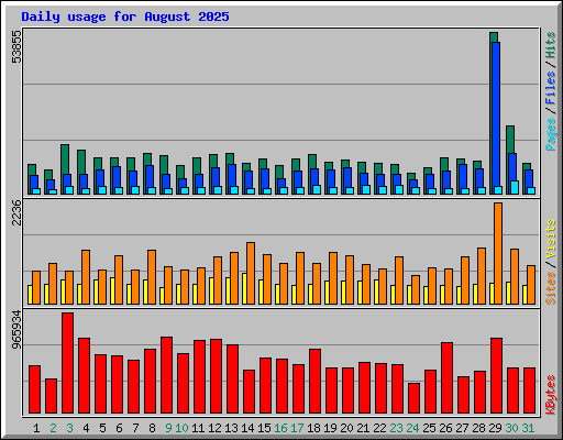 Daily usage for August 2025