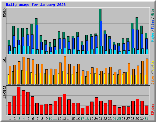 Daily usage for January 2026