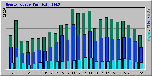 Hourly usage for July 2025
