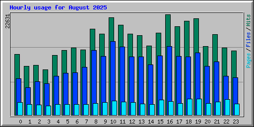 Hourly usage for August 2025