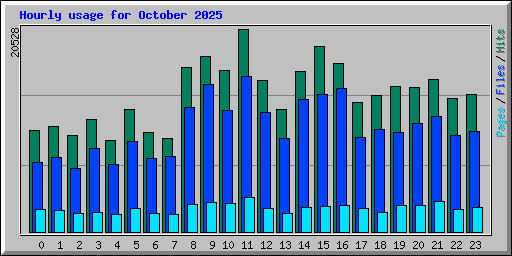 Hourly usage for October 2025