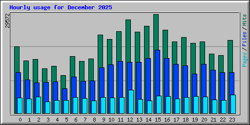 Hourly usage for December 2025