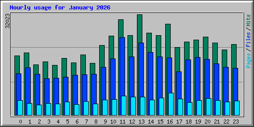 Hourly usage for January 2026