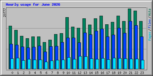 Hourly usage for June 2026