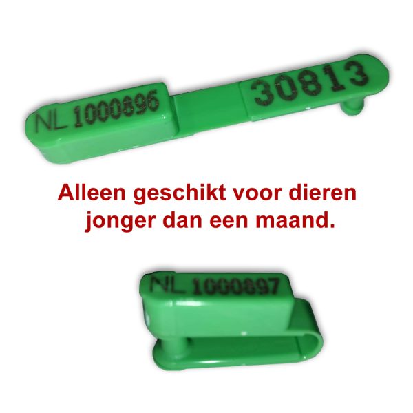 I&R ELDA clip